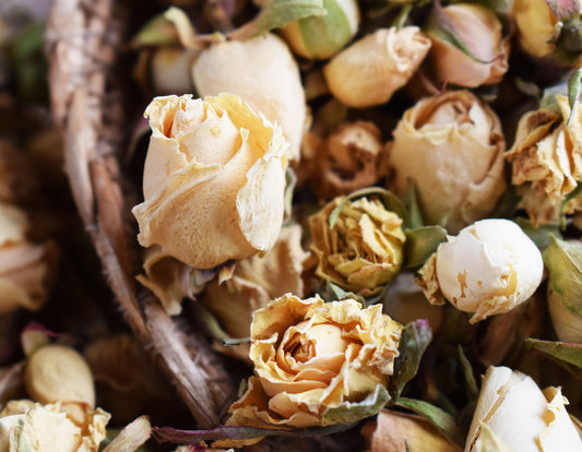 Rosas Naturales Blancas