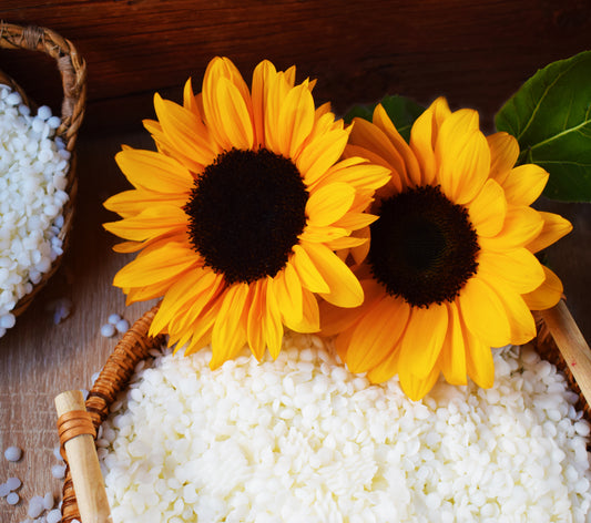 Cera de Girasol para velas en vaso (BPF)