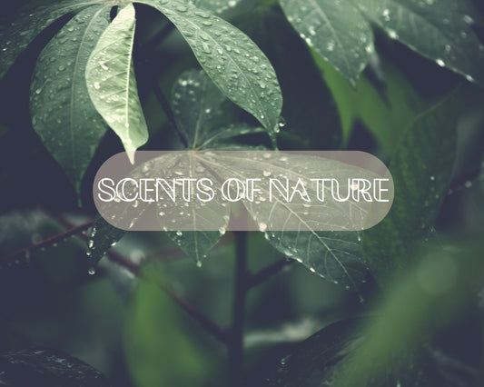 Naturcocó´s Selection: Scents of Nature