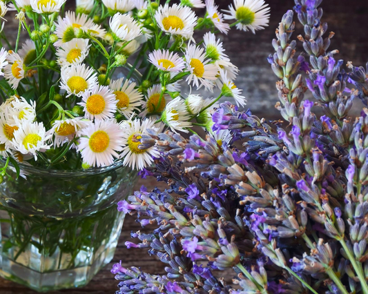 Fragrância de Lavanda e Camomila 