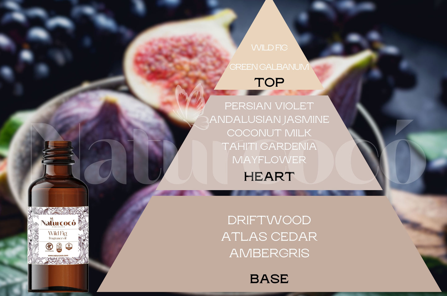 Fragrância Wild Fig